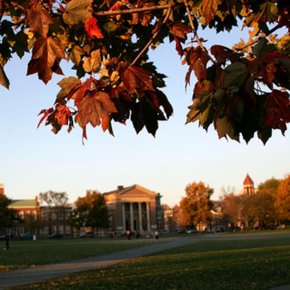 Meet your Posher, Allison - Picture 1 of 1